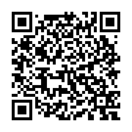 QR code for plate 51Y 335