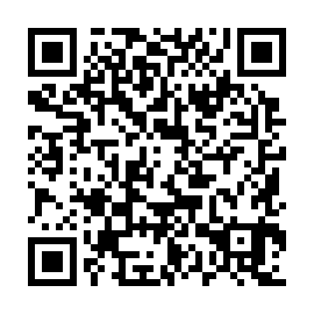 QR code for 51Y381