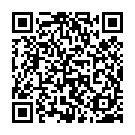 QR code for 51Z T91