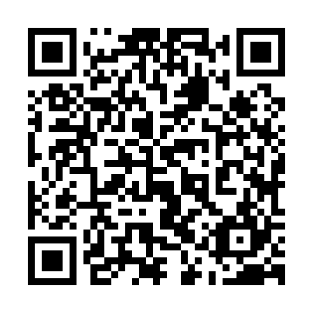 QR code for plate 51Z 124