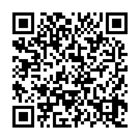 QR code for 51Z938