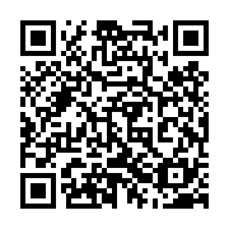 QR code for plate 52H DS5
