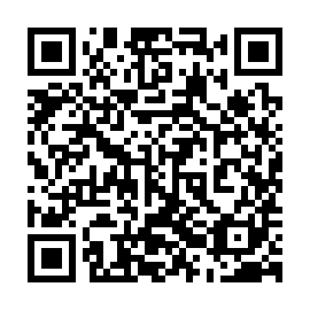 QR code for plate 52I 381