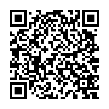 QR code for plate 52N T28