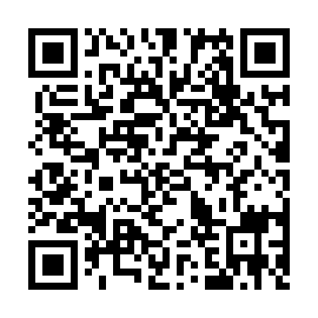 QR code for plate 52P 819