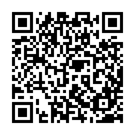 QR code for plate 52P ZX6