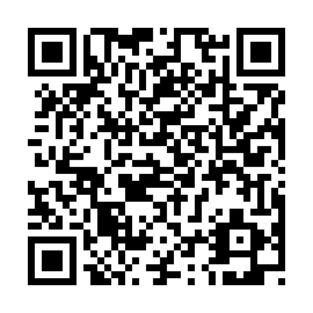 QR code for plate 52Q N41