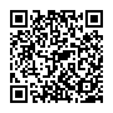 QR code for plate 52V 201