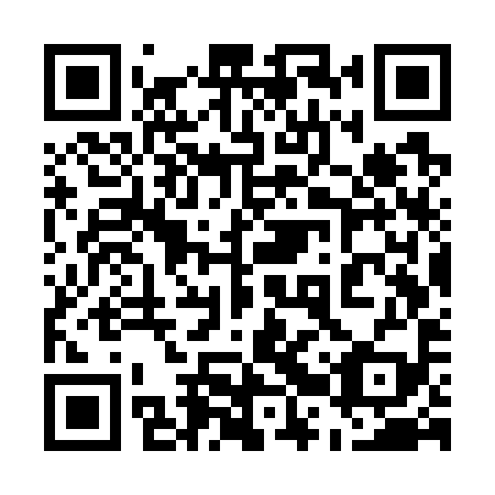 QR code for plate 52W W99