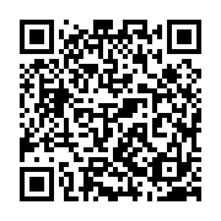 QR code for plate 52Z 133