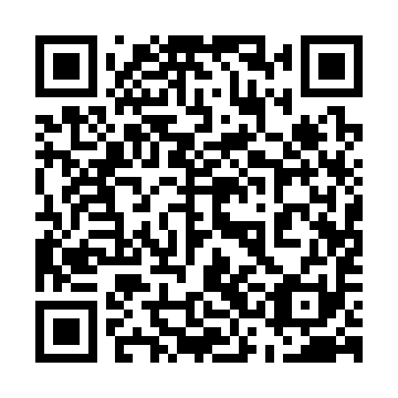 QR code for 53A 391