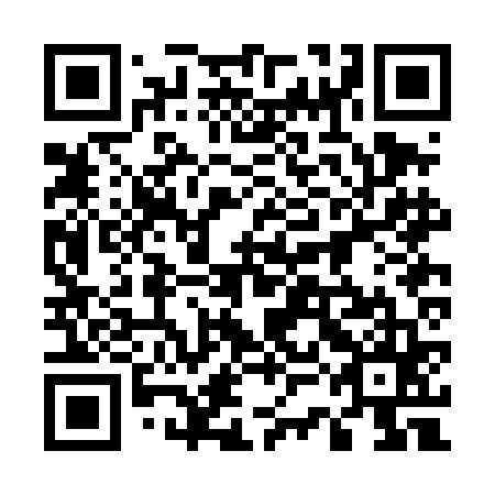 QR code for plate 53B DF5