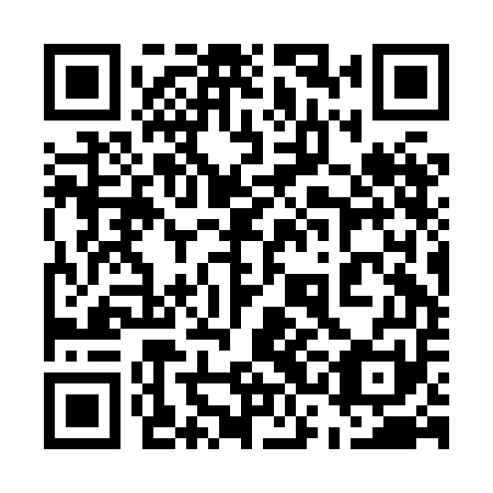 QR code for plate 53B HE1