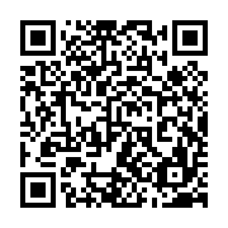 QR code for plate 53B P16