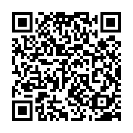 QR code for plate 53B U38