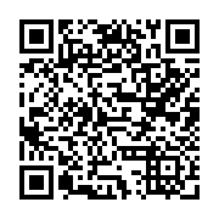 QR code for 53C733