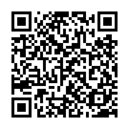 QR code for plate 53C GO0