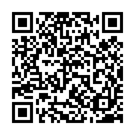 QR code for plate 53C T93