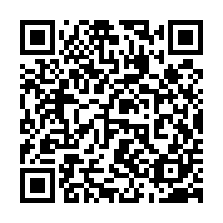 QR code for plate 53C U00