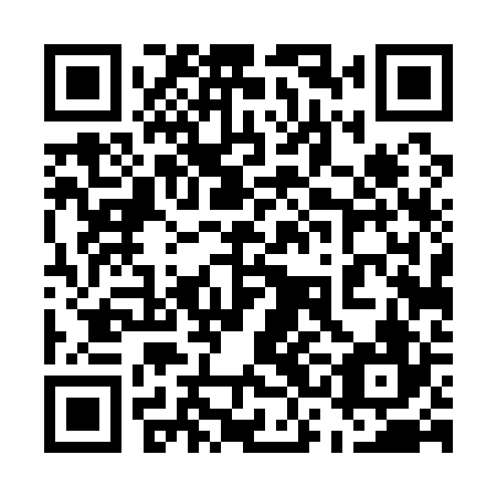 QR code for plate 53D 126