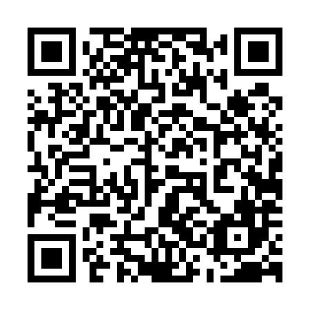 QR code for plate 53D 586