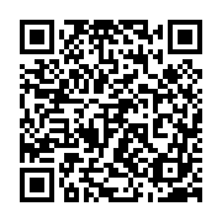 QR code for plate 53F 063