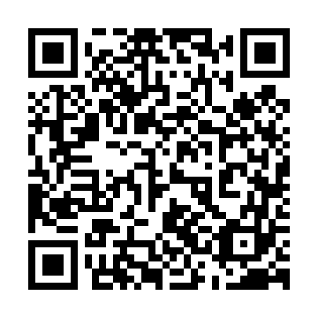 QR code for 53F463