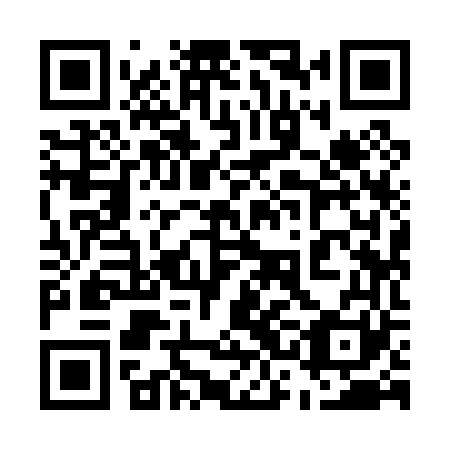 QR code for plate 53I 061