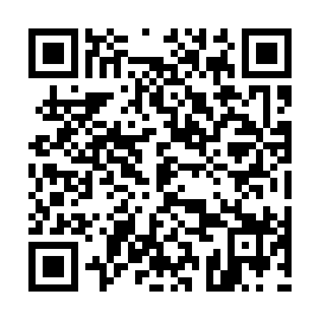 QR code for plate 53J 199