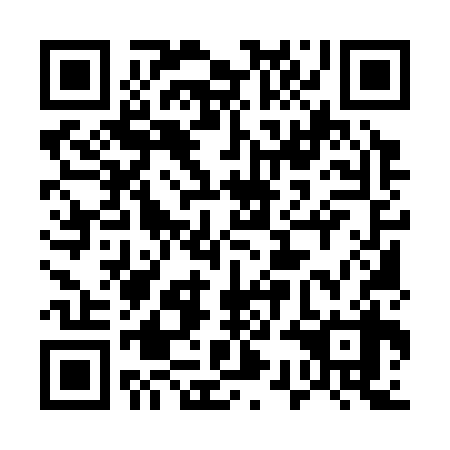 QR code for plate 53M 338