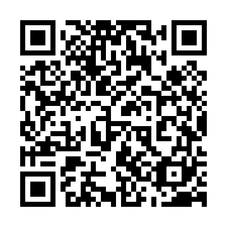 QR code for 53N P61