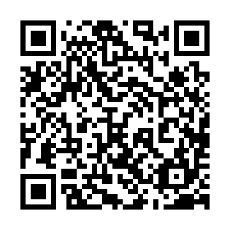QR code for 53P 394