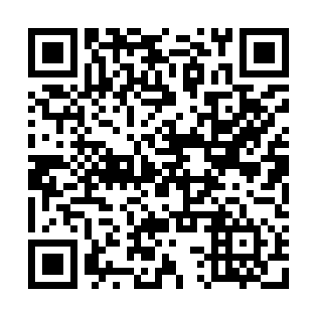 QR code for 53P 954