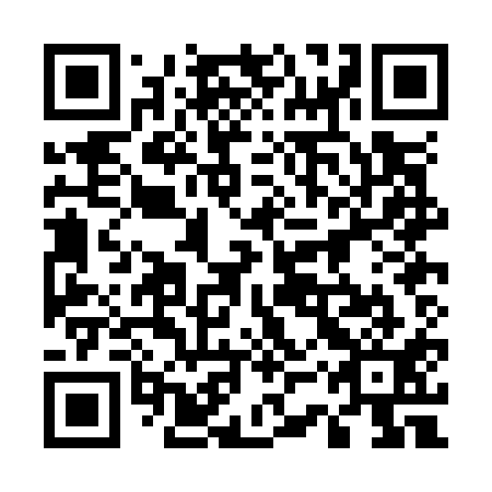 QR code for 53P O11