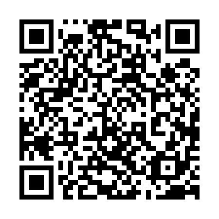 QR code for plate 53P 510