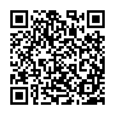 QR code for plate 53P CM2
