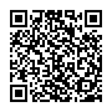 QR code for plate 53P HE8