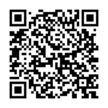 QR code for plate 53P Q30