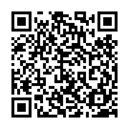 QR code for 53Q DG4