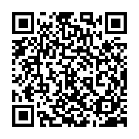 QR code for 53Q Z20