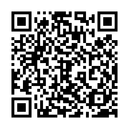 QR code for plate 53Q T20