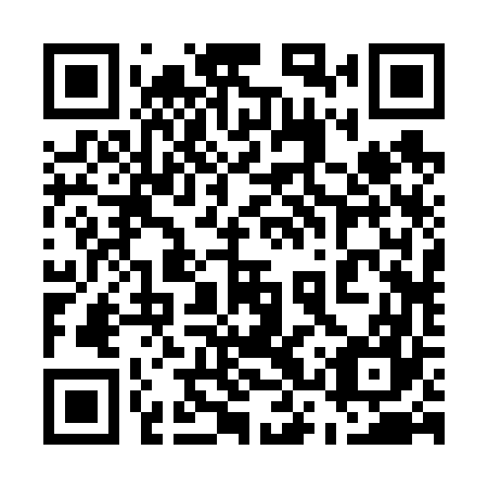 QR code for plate 53R 667
