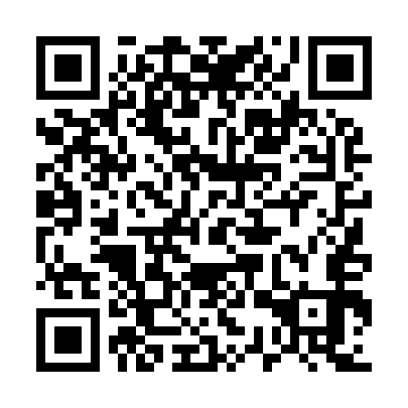 QR code for 53T 953