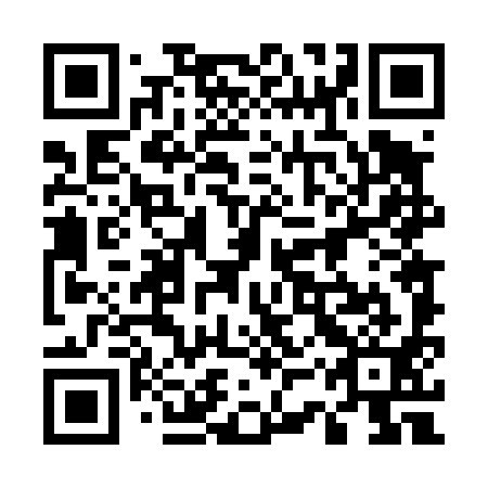 QR code for plate 53T 491
