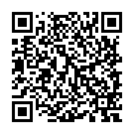 QR code for plate 53T 999