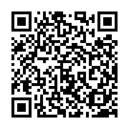 QR code for plate 53T UW0