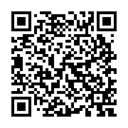 QR code for plate 53U C91