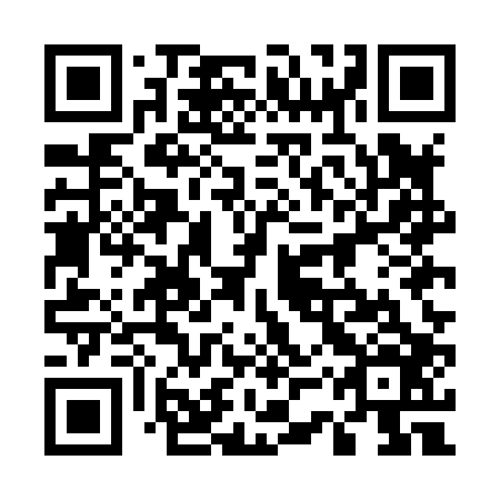 QR code for plate 53U H06