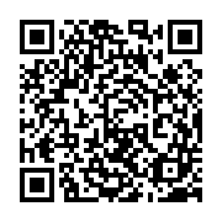 QR code for plate 53U Q43