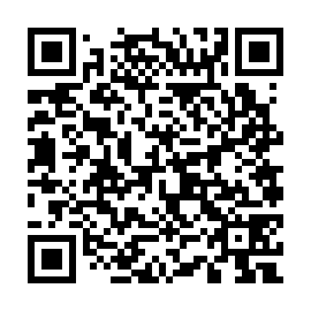 QR code for plate 53V 378